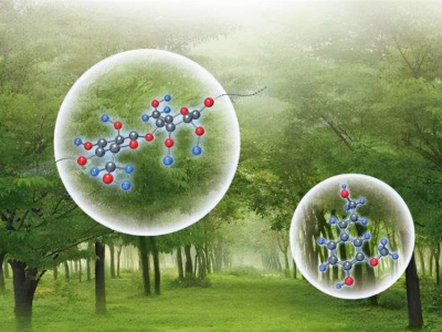 秸稈生物基環(huán)保材料是什么，有哪些特點